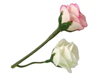 Lalka-Emily-z-Kotkiem-Rozami-Dlugie-Wlosy__900964__1200.jpg