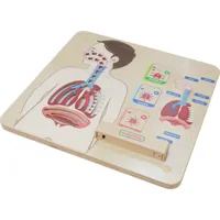 MASTERKIDZ-Tablica-Edukacyjna-Uklad-Oddechowy-Montessori__1271713__1200.jpg
