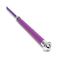 crop-horse-whip-65-cm-r8163-clr8163.jpg