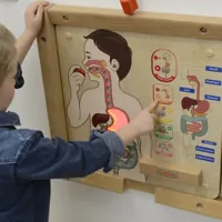 MASTERKIDZ-Tablica-Edukacyjna-Uklad-Trawienny-Montessori__1271716__1200.jpg