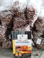 RMY Organic Soap Nuts Shells  500g - image 1