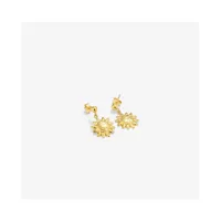 ladies-earrings-radiant-ry000149-s0800622-bbs0800622.jpg