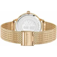 ladies-watch-timberland-s7263038-bbs7263038.jpg