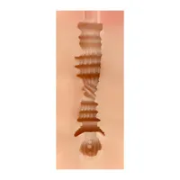 male-masturbator-vagina-edith-skin-sq-ma60087-clsq-ma60087.jpg