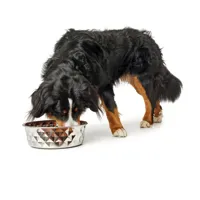 dog-feeder-hunter-silicone-stainless-steel-26-l-s6104658-bbs6104658.jpg