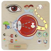 MASTERKIDZ-Tablica-Edukacyjna-Zmysl-Wzroku-Montessori__1271682__1200.jpg