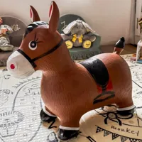 WOOPIE-Skoczek-Gumowy-do-Skakania-Konik-Pompka__1258583__1200.jpg