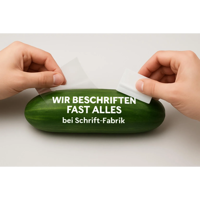 fun16.webp