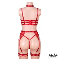 hyacinth-bra-garter-set-and-thong-red-a-126.jpg