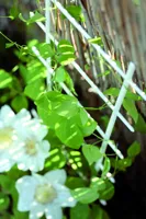 2658c86dc182216b08ff343ec42acdd6.jpg