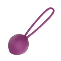 leigh-kegel-ball-silicone-purple-er69651-cler69651.jpg