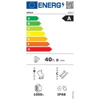 0195950622980__EE_E00.jpg