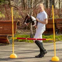 Hobby-Horse-Skippi-kon-na-kiju-Gniado-srokaty__1073537__1200.jpg
