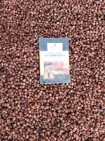 Soap Berry-Wash Nut-Washnut-Soapnut – Soapberries, RMY Soap Nuts Factory,Are the  soap nuts... - image 2