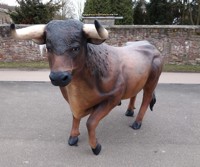 stier.jpg