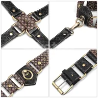 rebellion-reign-hogtie-set-lo-lv761209-cllo-lv761209.jpg