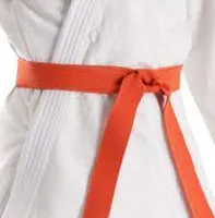 RMY Taekwondo Orange Belts,RMY Best Taekwondo Belts - image 3