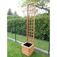 KmG1_-_Kopie.webp