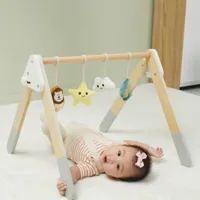 VIGA-PolarB-Palak-Stojak-dla-Niemowlat-Baby-Gym__1273378__1200.jpg