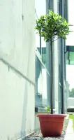 21d36786a4481c84cf1dfd0ae94b8e20.jpg