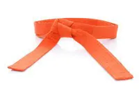 RMY Hapkido Orange Belts,RMY Hapkido Amazing Quality Belts - image 2