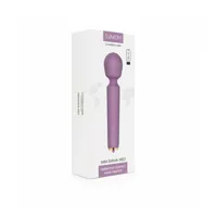 bullet-vibrator-svakom-lilac-s4006249-bbs4006249.jpg