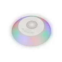 8427542122267_R54.jpg