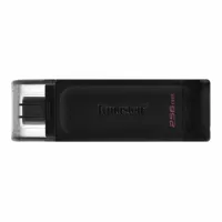 usb-stick-kingston-dt70-256gb-s55174064-bbs55174064.jpg
