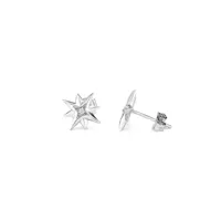 ladies-earrings-radiant-ry000032-s0800616-bbs0800616.jpg