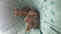 20170418_121841.jpg
