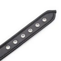 collar-with-hoop-black-843658379554.jpg