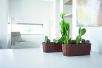 a61b30d3b1623c0362aa5ca53e9947a6.jpg