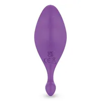 lunder-panty-stimulator-with-remote-control-usb-lt-182-cllt-182.jpg