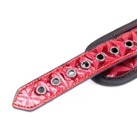 adjustable-collar-with-leash-diamond-vegan-leather-dl-487-cldl-487.jpg