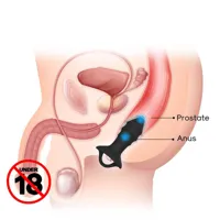 vibrating-anal-plug-8436626093072-cl8436626093072.jpg