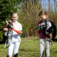 Hobby-Horse-Skippi-kon-na-kiju-Karo-srokaty__1073551__1200.jpg