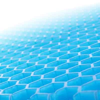 honeycomb-gel-cushion-hexafresh-innovagoods-v0103199.jpg