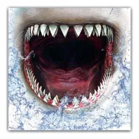 hygienic-reusable-fabric-mask-6-9-years-shark-s1126514-bbs1126514.jpg