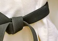 RMY Hapkido Black Belts,RMY Briliant Quality Hapkido Belts,RMY Hapkido Belts for Beginners,Pofess... - image 2