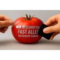 fun30.webp