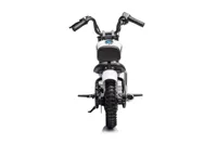 Motor-Na-Akumulator-A9902-36V-Bialy__1105864__1200.jpg