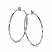 ladies-earrings-co88-collection-8ce-70056-silver-s72111011-bbs72111011.jpg