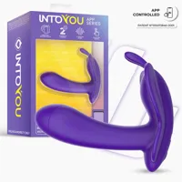 wingy-butterfly-vibrator-with-app-dark-purple-in-317-clin-317.jpg