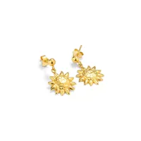 ladies-earrings-radiant-ry000149-s0800622-bbs0800622.jpg