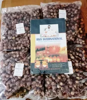 RMY Golden Soap Nuts Shells PP Packing 250gram - image 1