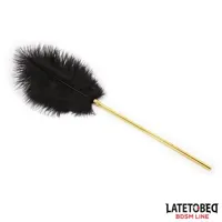 feather-tickler-41-cm-8436615001255-cl8436615001255.jpg