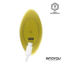 auria-vibrating-anal-plug-with-remote-control-usb-c-u-322-clu-322.jpg