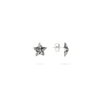 ladies-earrings-albert-m-wsox00510s-silver-s72131962-bbs72131962.jpg
