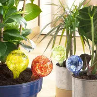 automatic-watering-globes-ballwooters-innovagoods-4-units-v0103627-bbv0103627.jpg