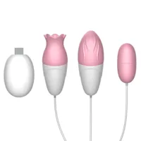orchest-3-in-1-controlled-stimulator-lt-587-cllt-587.jpg